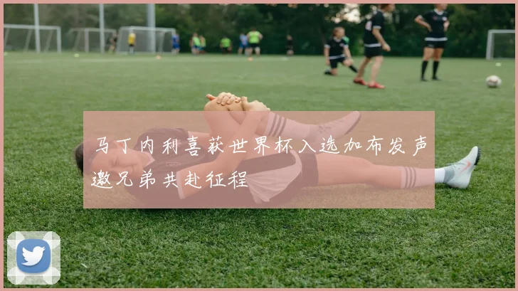 马丁内利喜获世界杯入选加布发声邀兄弟共赴征程