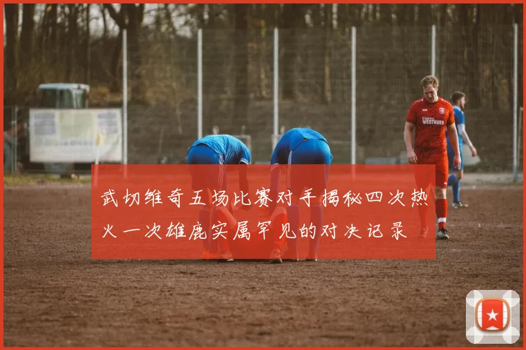 武切维奇五场比赛对手揭秘四次热火一次雄鹿实属罕见的对决记录